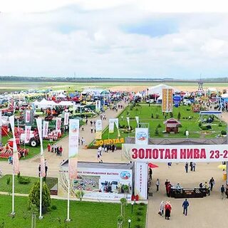 Золотая нива казань