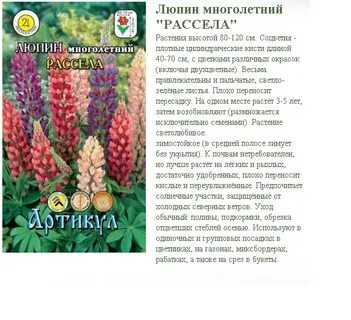 Люпин описание