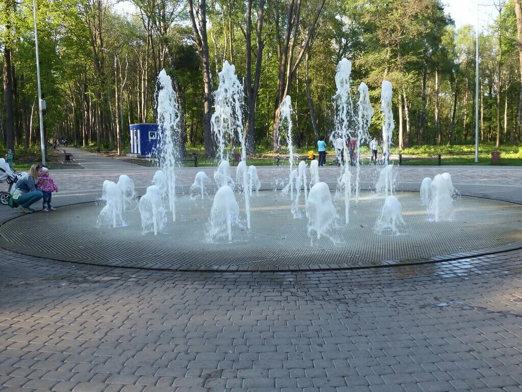 Сайт г новомосковск. Городской парк Новомосковск Тульская область. Фонтаны Новомосковска Тульской области. Новомосковск Тульская парк фонтан. Новомосковск Тульская область взрослый парк.