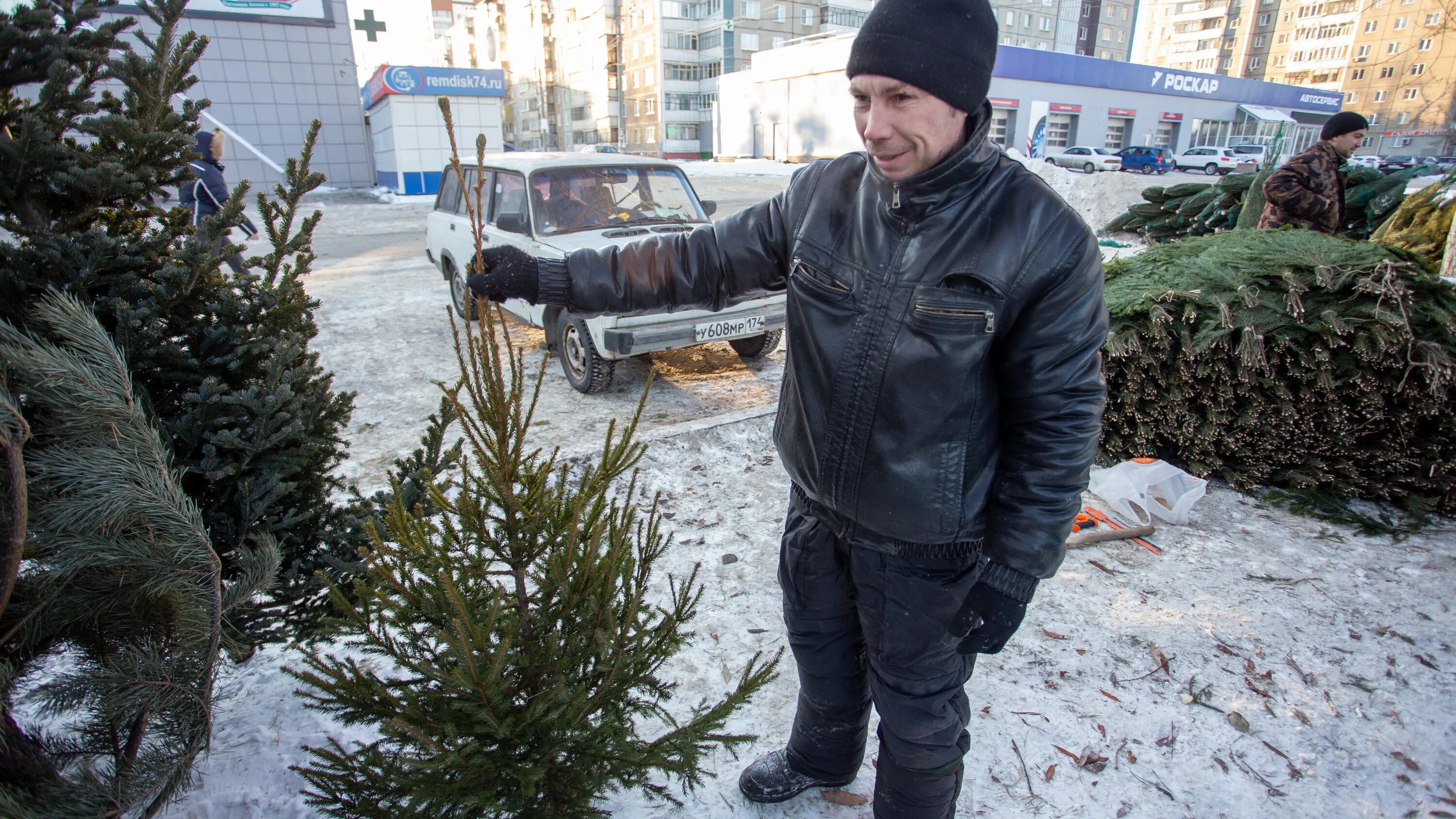 Продажи 31 декабря. Утилизация новогодних елок. Утилизация новогодних елок в вольерах. Прием елочка.