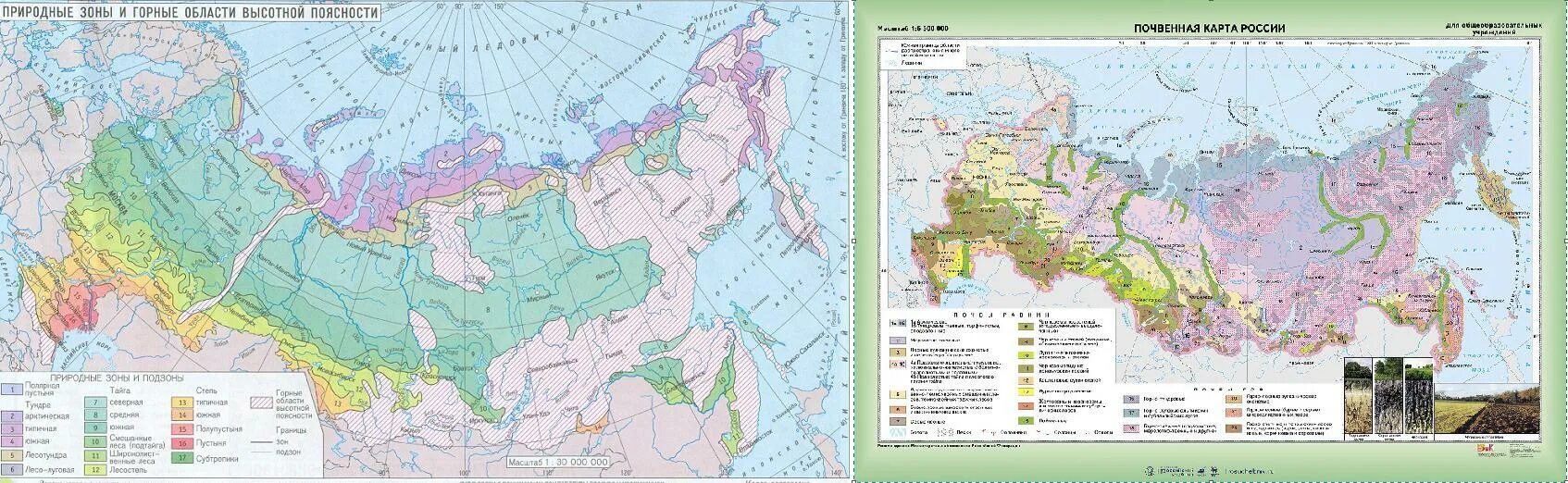 Лучшие почвы россии. Атлас почвы России 8 класс. Карта почвы России 8 класс география. Почвенная карта России 8 класс атлас. Почвенная карта России подзолистые почвы.