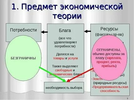 Общие экономические науки это