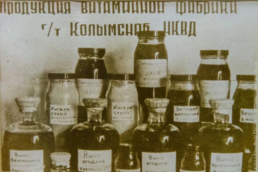 Напиток из хвои от цинги. Хвойный напиток в блокаду. Хвоя в блокадном ленинграде. Хвоя в блокадном ленинграде. Хвойный настой блокадного ленинграда.