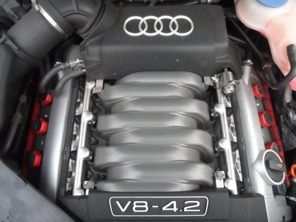 Нумерация цилиндров ауди. Audi allroad мотор 4.2. двигатель audi bas 4,2. нумерация цилиндров ауди а8 4.2. 4 цилиндр ауди 4.2 бензин.