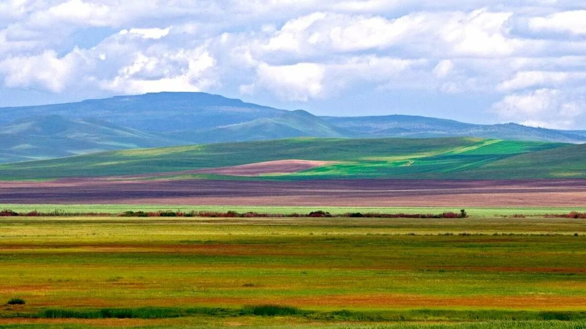 Степи в забайкальском крае. Даурские степи Забайкальский край. Агинская степь Забайкальский край. Забайкальский край природа степи. Даурия сопки Забайкалья.