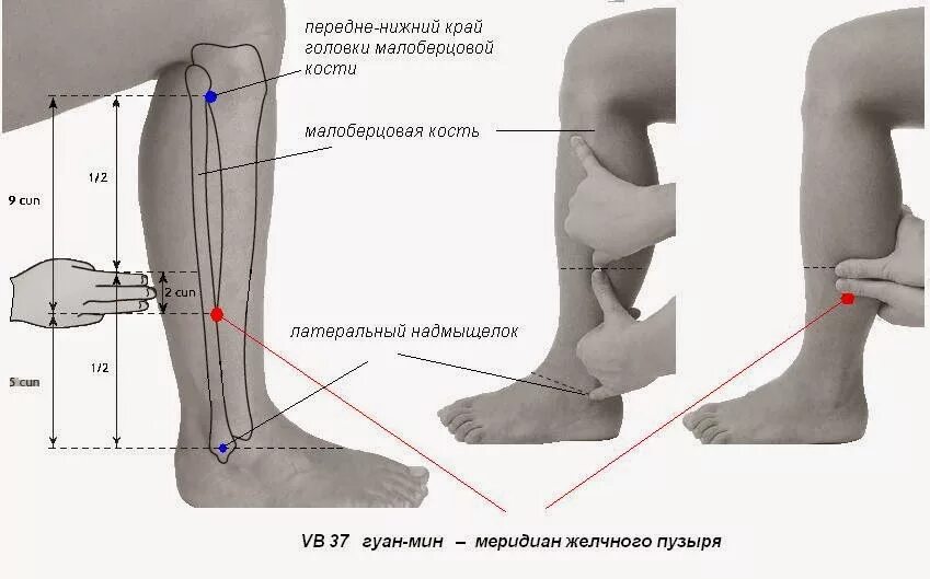 Сильные боли ноги ниже колена причины. Малая берцовая косточка на ноге. Болит нога в районе малоберцовой кости. Болит нижняя часть голени сбоку. Голень в области лодыжки.