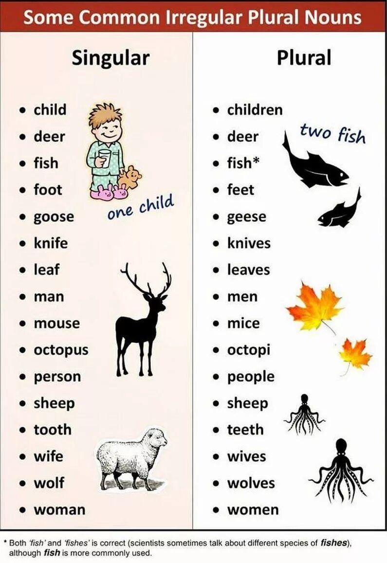 Plurals множественное число. Английский язык plural nouns. plurals in english исключения. plural and singular nouns в английском языке. plural nouns english исключения.
