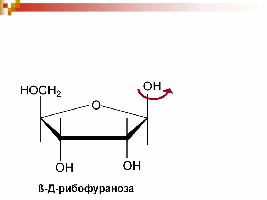 Рибофураноза