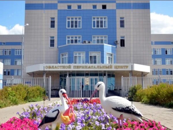 клыкова 100 курск перинатальный. клыкова 100 курск перинатальный. г. курский перинатальный центр на клыкова.