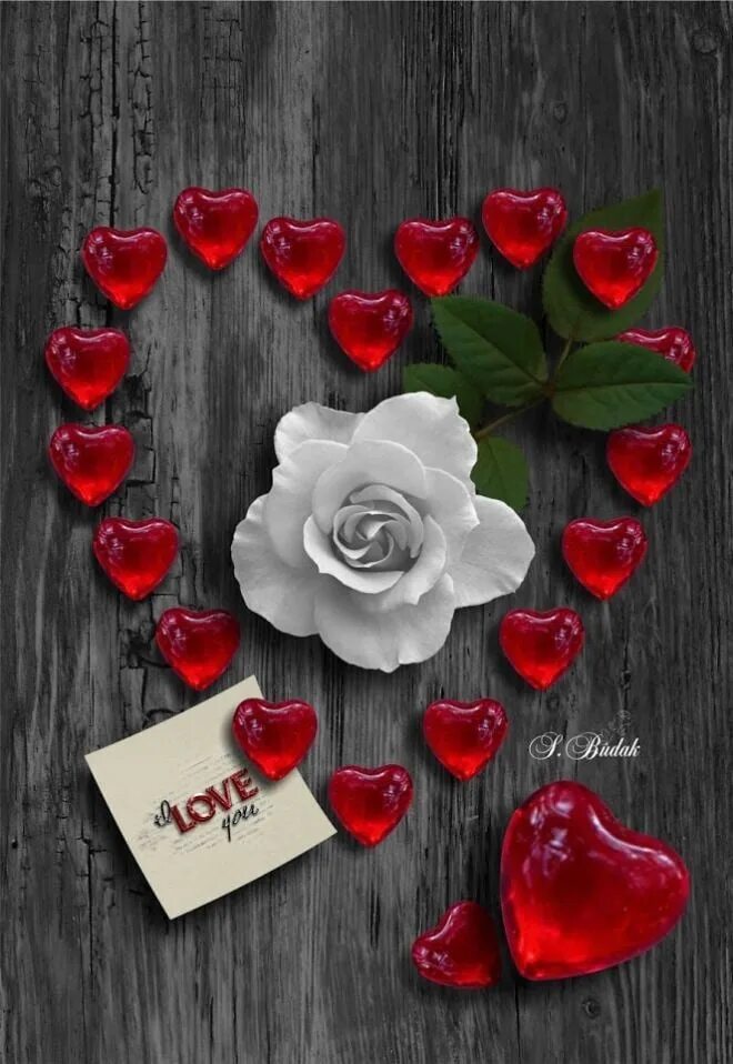 Розы в сердце. Розы сердечком. Валентинка. Красивые сердечки с розами. Сердце любовь розы
