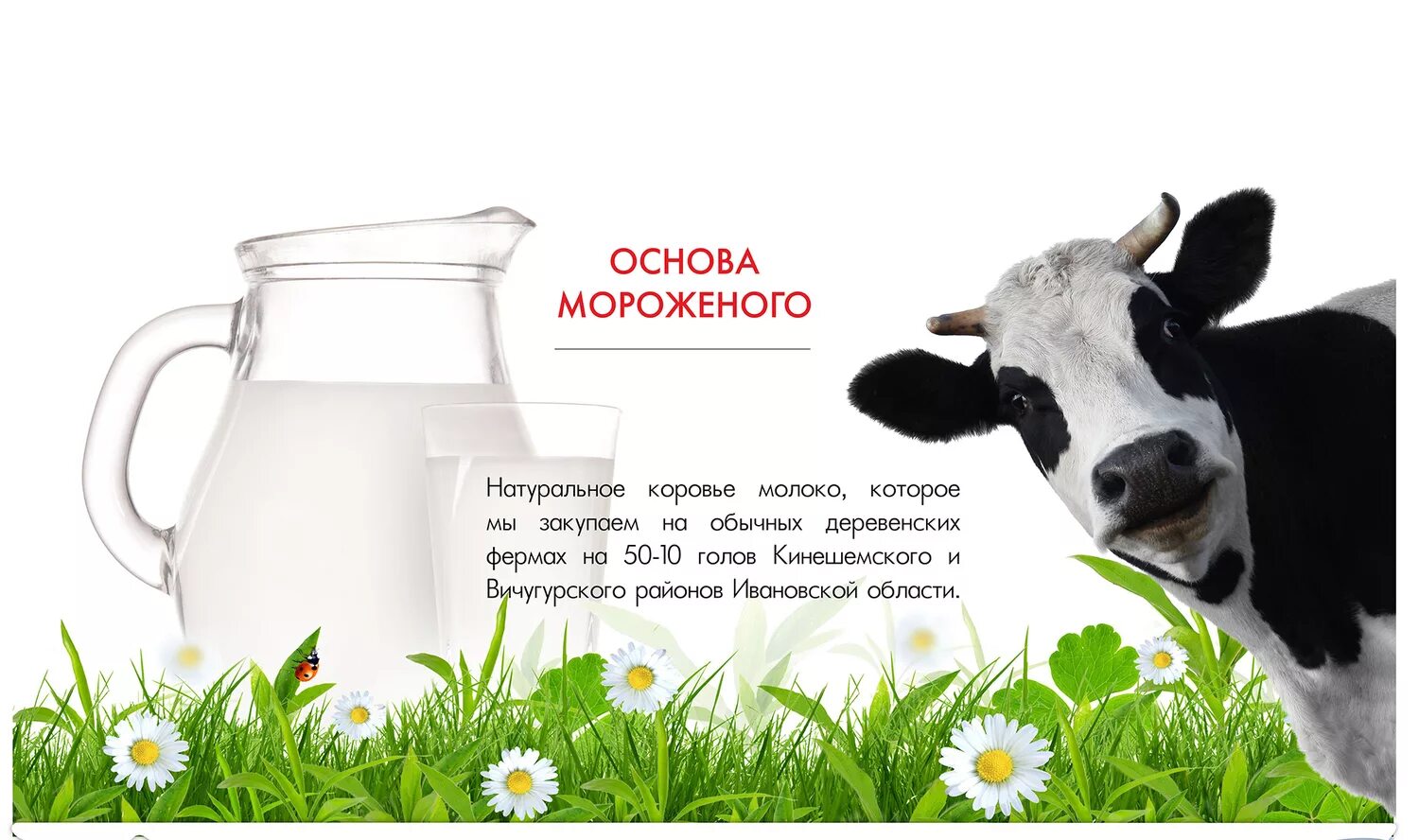 дай молока. молоко. корова с бутылкой молока. корова молоко магазин стакан спасибо. корова.