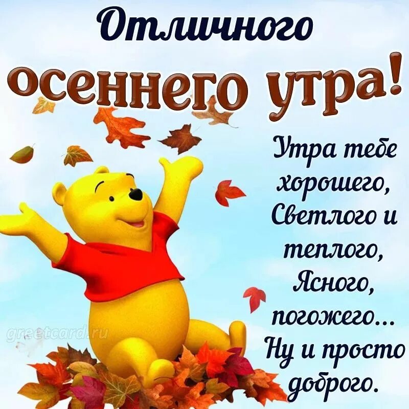 Картинки с добрым утром веселые осенние новые