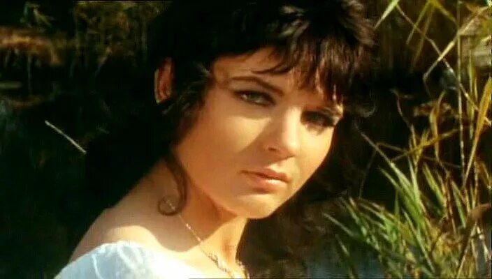 четыре мушкетёра шарло королева. три мушкетёра 20 лет спустя. приключения трех мушкетеров 1992. приключения трех мушкетеров 1971. три мушкетера 1979.