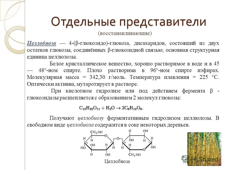 Субъединица рибосом. Который состоит из двух отдельных. Атом мельчайшая частица вещества. Дисахариды презентация. Который состоит из двух отдельных.