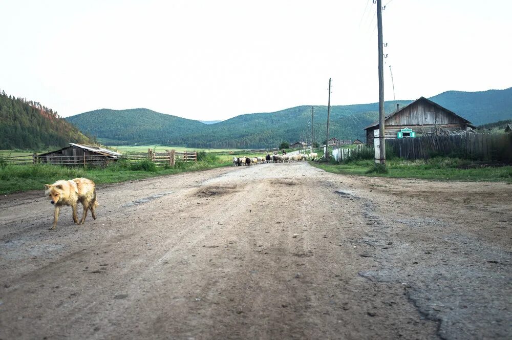 Доска объявлений забайкальский край. Забайкальский край поселок Хапчеранга. Курунзулай Забайкальского края. Прииск надежный Кыринского района Читинской области. С.Хапчеранга, Кыринский район, Читинская область.