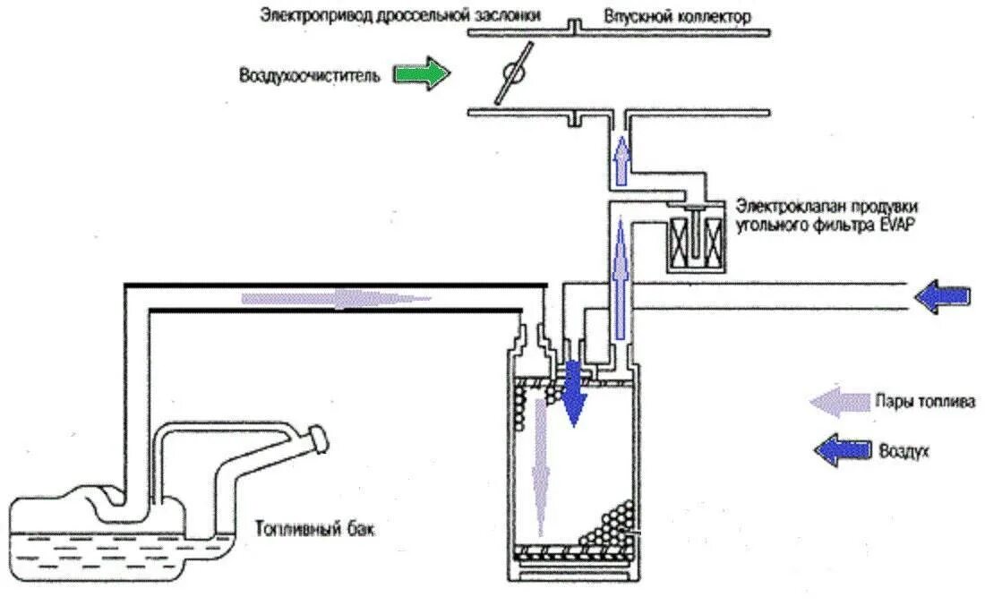 Неисправность клапана абсорбера. Клапан адсорбера устройство и принцип работы. Абсорбер топливных паров на схеме. Схема подключения адсорбера. Адсорбер паров бензина схема.