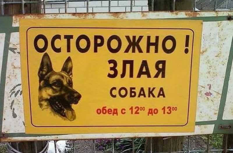 Осторожно, злая собака!. Табличка злая собака прикольная. Смешные надписи. Надпись осторожно злая собака. Злая собака что делать