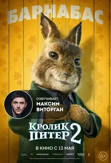 Питер 2 2021