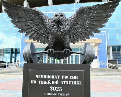Уренгой сибирские медведи
