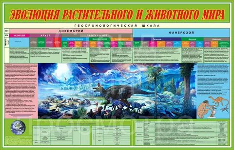 Эры эволюции жизни