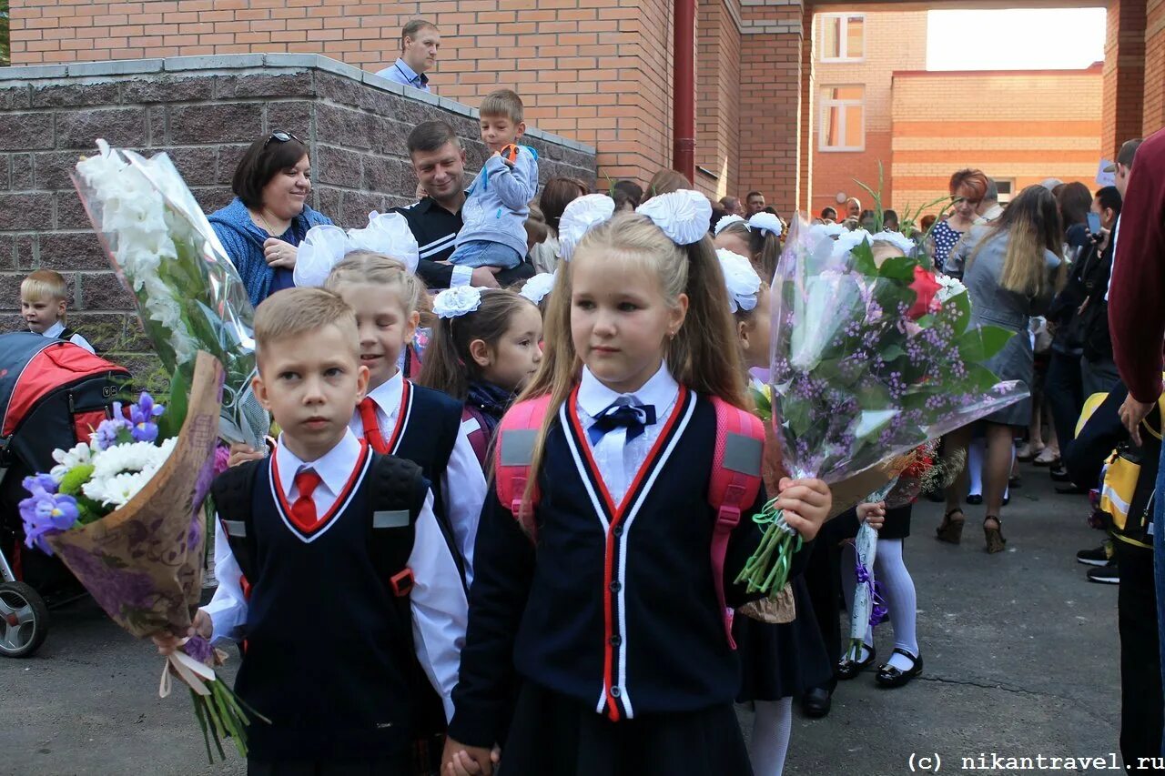 Электронная школа ленинградская волхов. Школа 8 Волхов. Школа номер 8 город Волхов. Директор 8 школы Волхов. Волхов Ленинградская область школа 8.