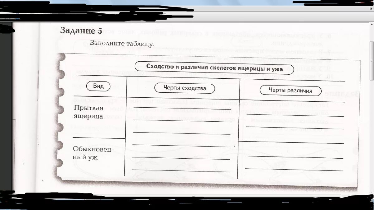 Заполнить таблицу сходство и различие. Сходство и различия скелетов ящерицы и ужа. Ящерица и уж сходство и различия. Сходство и различие скелетов ящерицы и ужа таблица. Сходство и различия строения скелетов ящерицы и ужа.