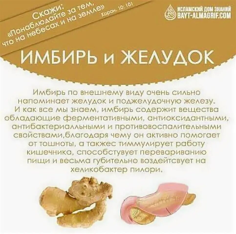 Имбирь для чего. Чем полезен имбирь. чем полезен имбирь для организма. имбирь полезные свойства и противопоказания.