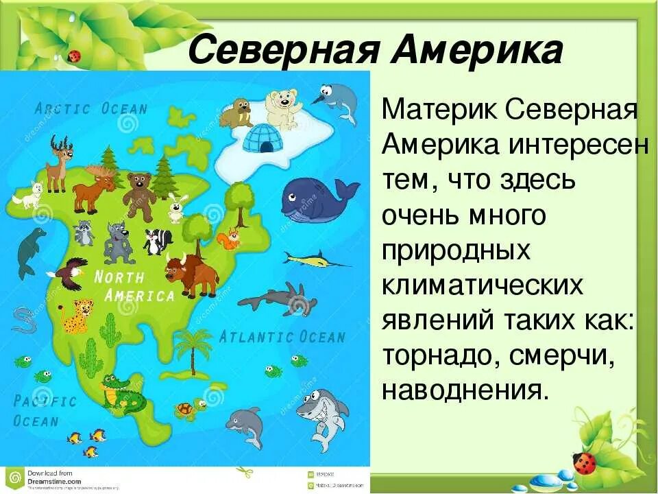 Животные северной америки 2 класс. МАТЕРИИК серная Америка. Северная Америка материк. Северная Америка матери для детей. Проект для дошкольников материки.