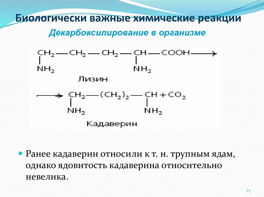 Декарбоксилирование аминокислот реакция. Биологически важные реакции -аминокислот: декарбоксилирование;. Биологически важные реакции аминокислот. Биологически важная реакция декарбоксилирования. Уравнение реакции декарбоксилирования лизина.