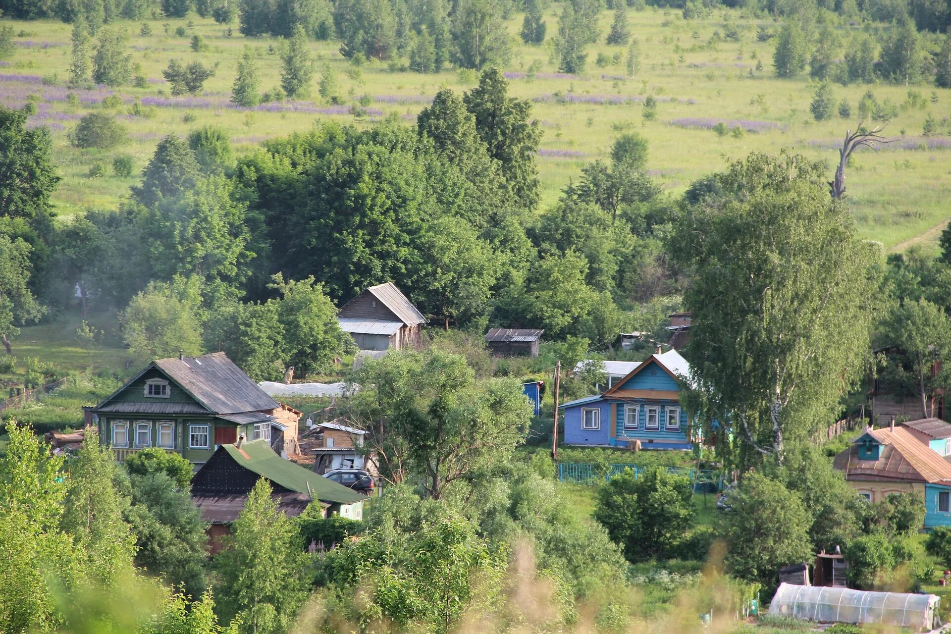 Деревня Шангиничи. Деревня Бегеш Удмуртия. Сельская местность. Красивая деревня.
