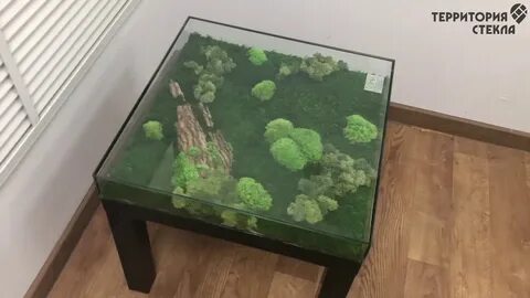 Жизнь под стеклом