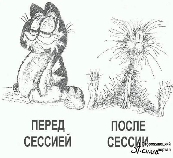 Сессия провайдера