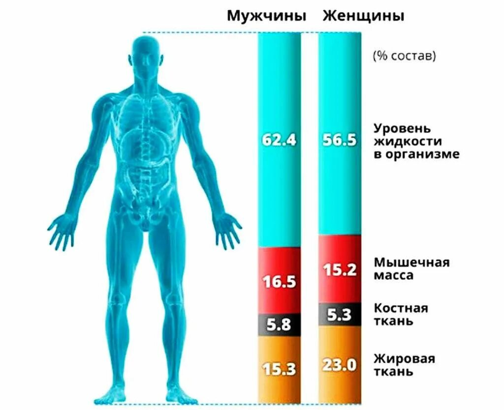 Как определить массу ноги