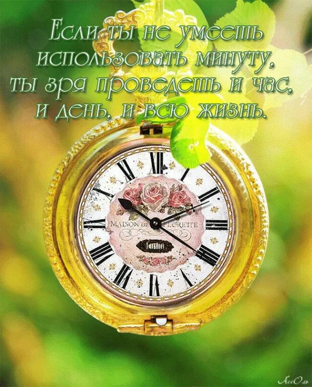 За каждую минуту злости вы теряете 60 секунд счастья. Часы "цветок". Правило 20 минут в день. Планка девушка. Цитаты про мгновения жизни.