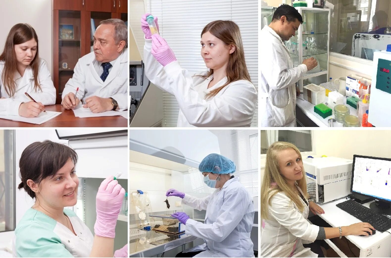 Лаборатория иммунологии. Институт аллергологии. Диагностическая лаборатория микробиология. Отделение клинической лаборатории. Оборудование иммунологической лаборатории.