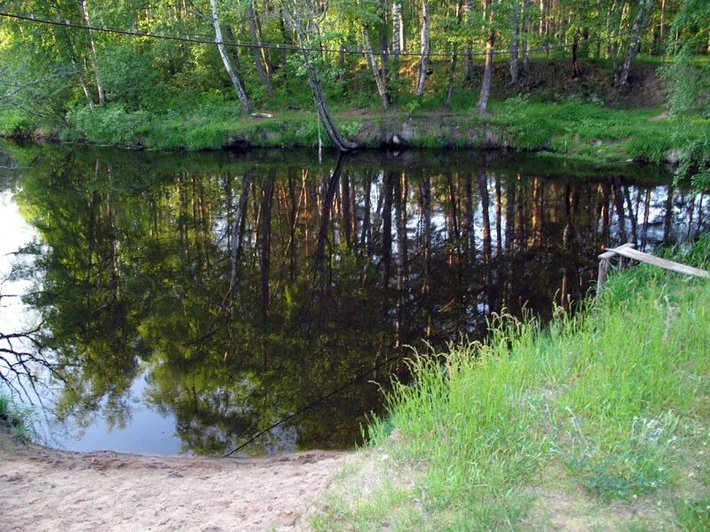 Лосево парк. Лосево природа. Красивые места рядом с Лосево. Лосево озеро. База экологии