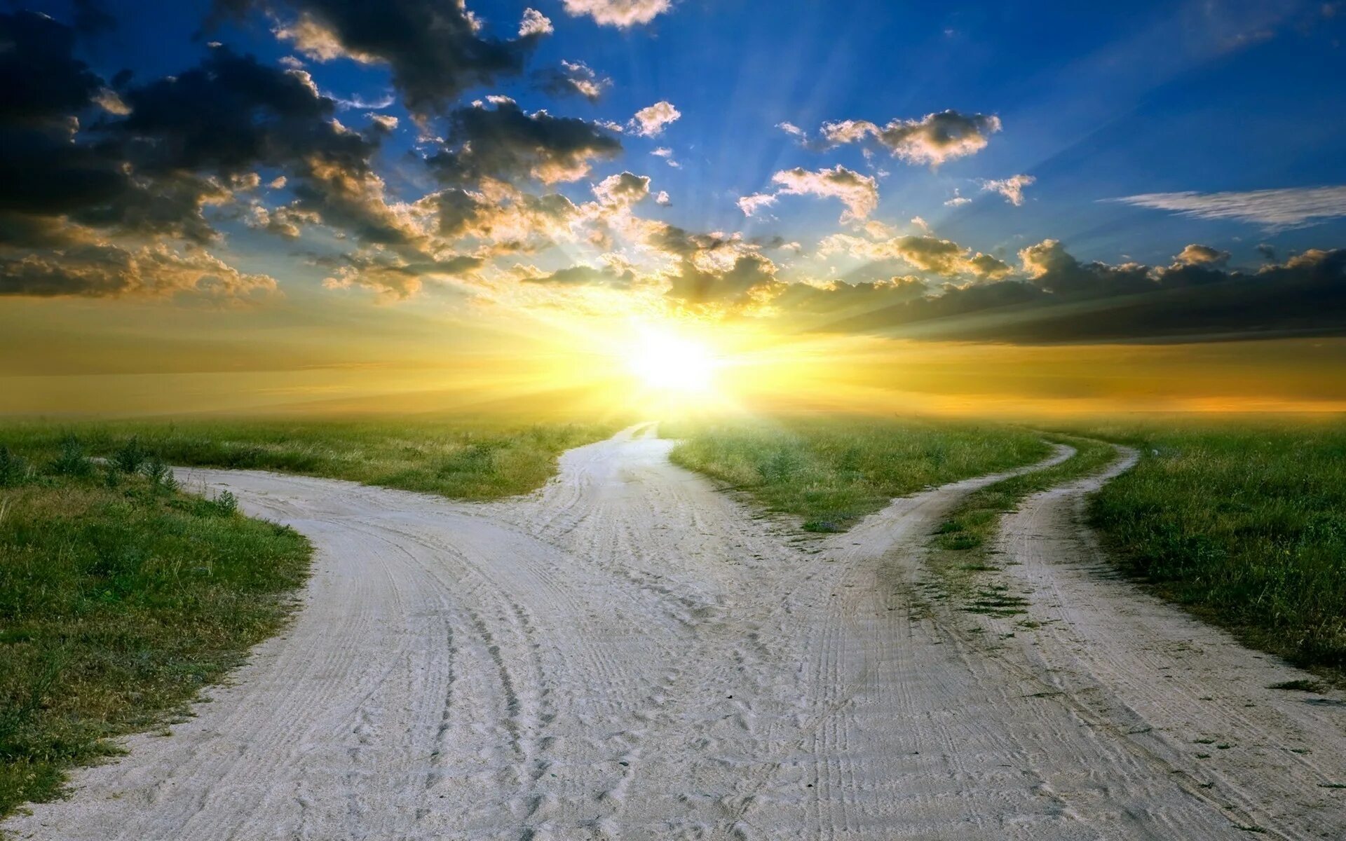 Природа хочет жить. Распутье дорог. Жизненные дороги. Солнце на дороге. Развилка дорог.