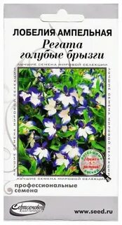 Лобелия регата сапфир отзывы
