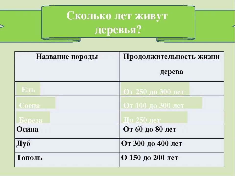 Сколько лет продолжение. Продолжительность жизни деревьев окружающий мир таблица. Продолжительность жизни деревьев таблица. Продолжительность жизни дере. Деревья и Продолжительность жизни таблица 1.