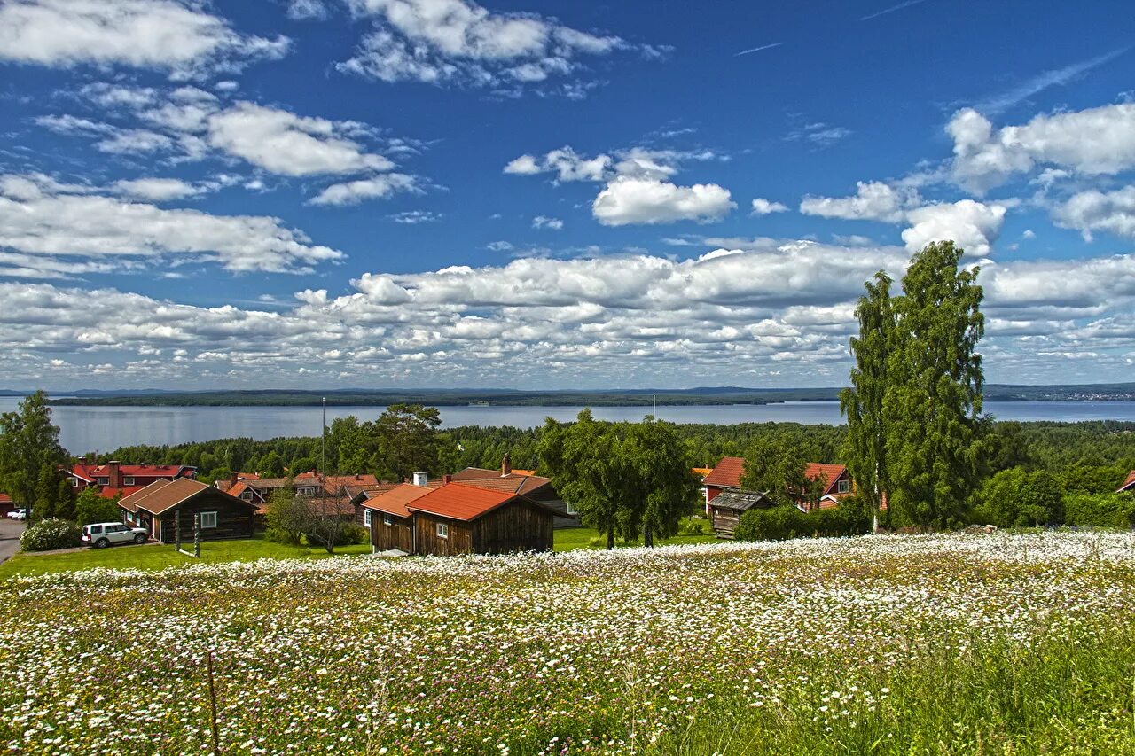 фон деревня. панорамное изображение деревни. панорама улиц деревня. панорама улиц деревня. деревня в далеке.