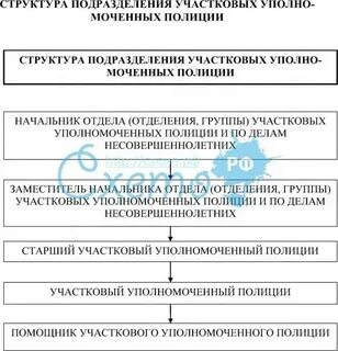 Деятельностью отдела участковых уполномоченных полиции