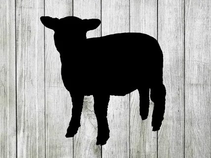 Baby Lamb Svg Sheep Svg Baby Lamb Clipart Cut Files for Etsy.
