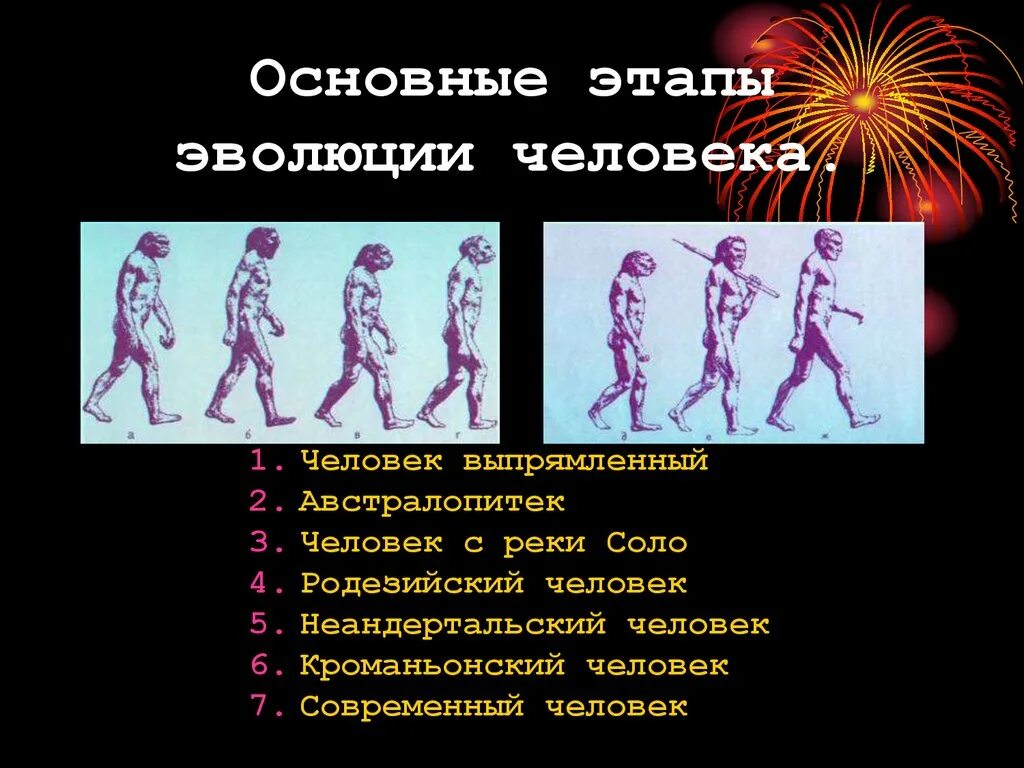 Первичная стадия развития. Описание стадий эволюции человека. Этапы эволюционного развития человека. Этапы революции человека. Основные этапы эволюции человека.