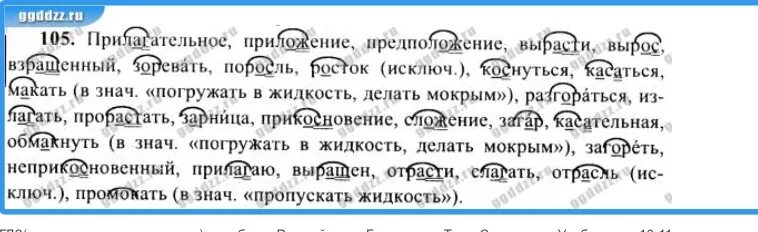 Макайте корень слова. Прилагательное приложение предположение. Прилагательные приложение предположение вырос. Прилагательное приложение предположение вырос вырасти взращенный. Прилагательное приложение предположение вырос вырасти.