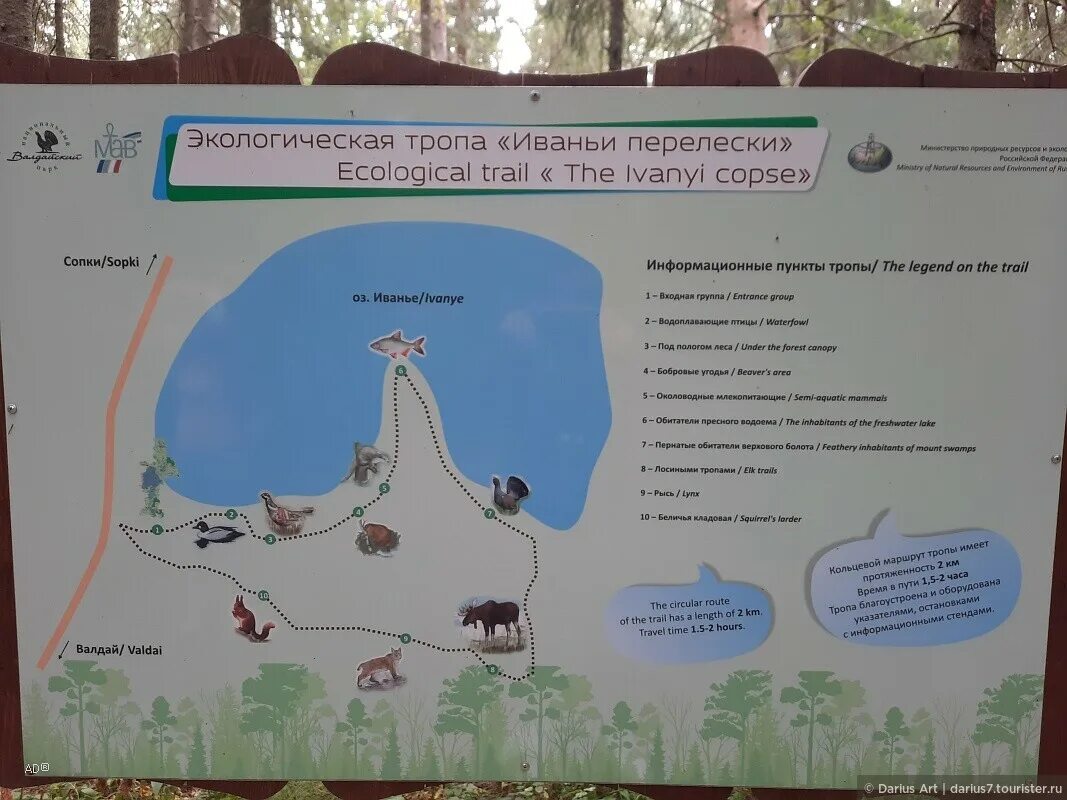 Схема экологической тропы в детском саду рисунок. Экологическая тропа в битцевском лесу. Экологическая тропа валдай. Экологическая тропа в доу схема. Карта национального парка угра калужская область.