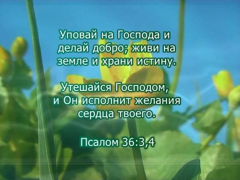 Уповай на Господа. Псалом 36. Уповай на Господа и делай добро. Уповай на Господа и делай добро живи. Псалом 30 читать