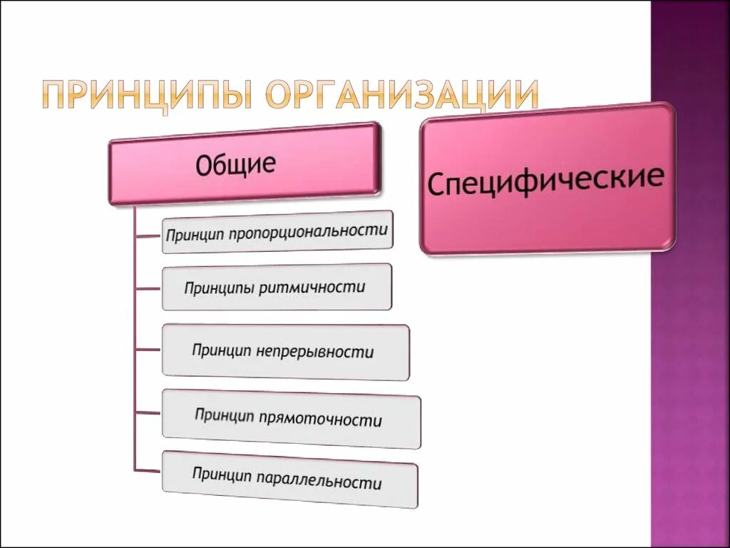 Принципы организации. Принципы компании. Принципы компании примеры. Принципы фирмы. Сайт общ организации