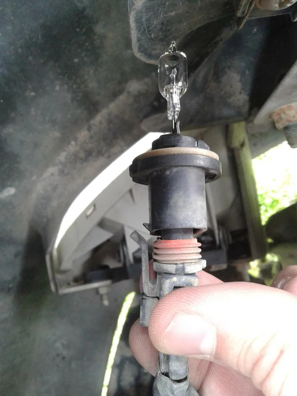 Лампа в противотуманки лачетти 2012. Снятие фары шевроле круз. Лампочка заднего поворотника шевроле круз седан. Лампы в птф шевроле круз 2011 год. Лампочки противотуманки niva chevrolet.