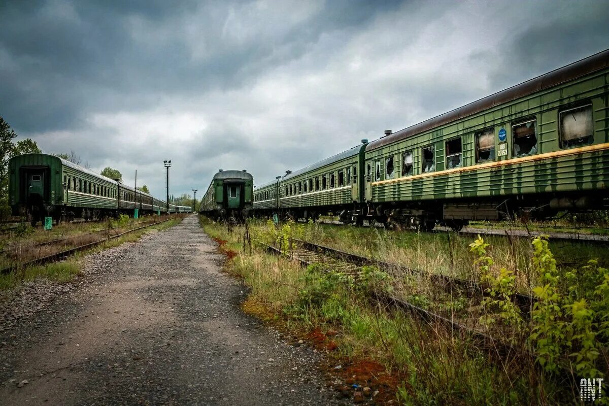 Бекасово заброшенные вагоны. Заброшенный вагон метро. Заброшенные поезда фото. Заброшенный вагон книга. Заброшенный вагон.