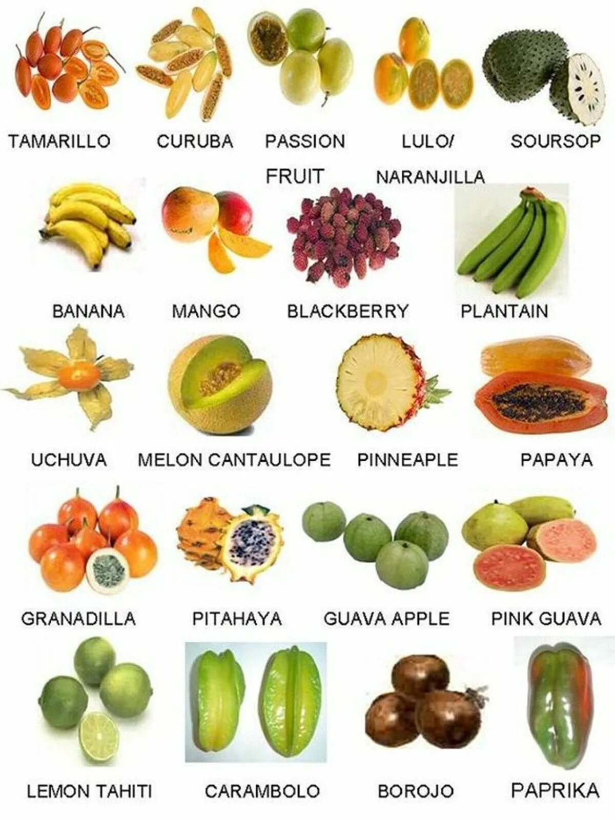 Список фруктов. Экзотические фрукты названия. Тропические фрукты названия. Тропические фрукты наз. Наименования экзотических фруктов.